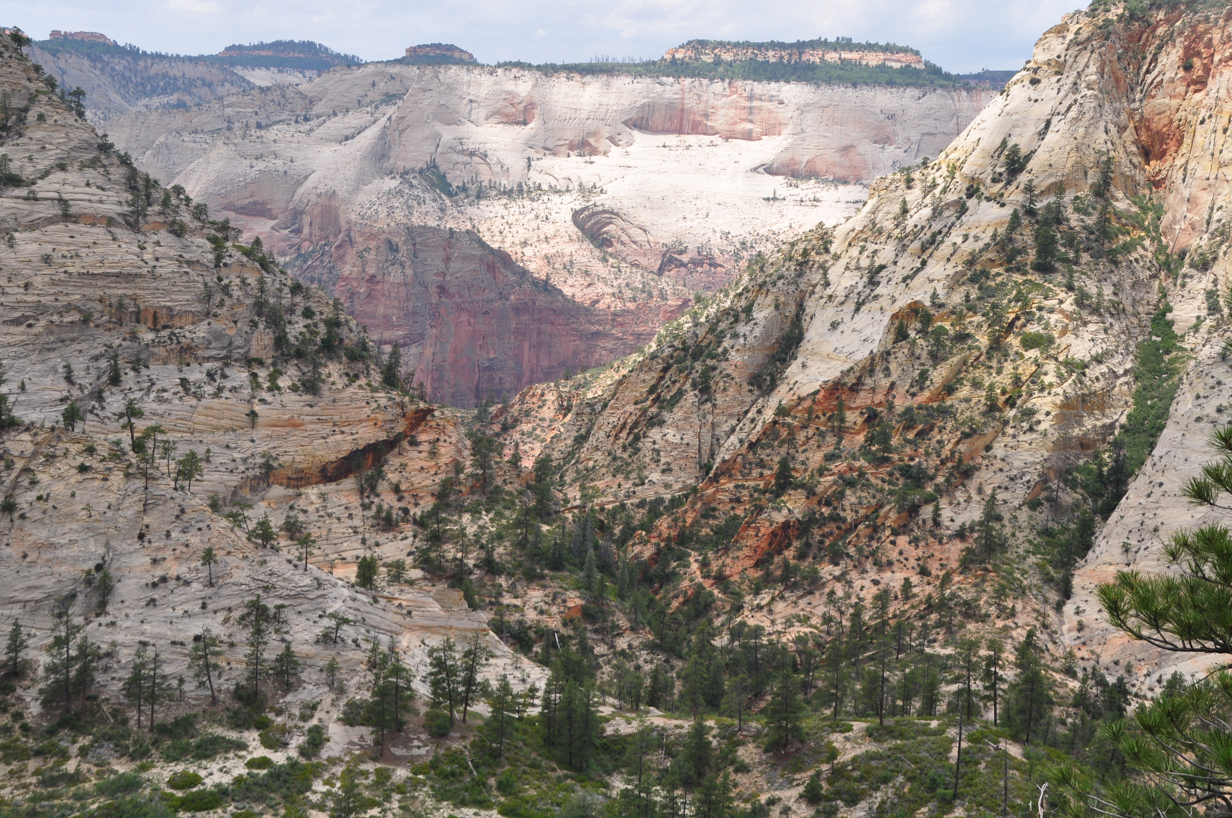 Zion National Park – East Rim Trail Feature