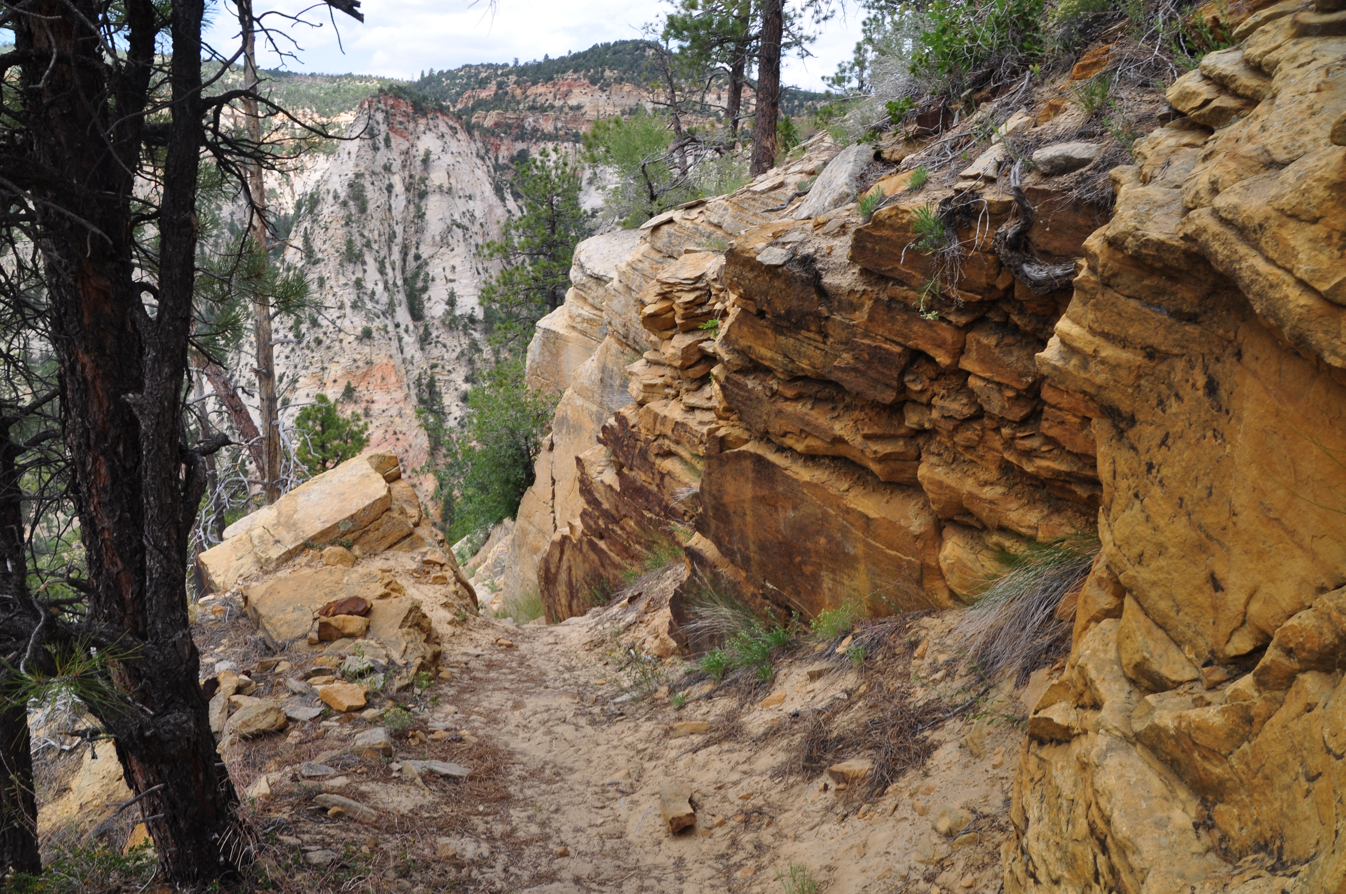 Zion National Park – East Rim Trail Feature