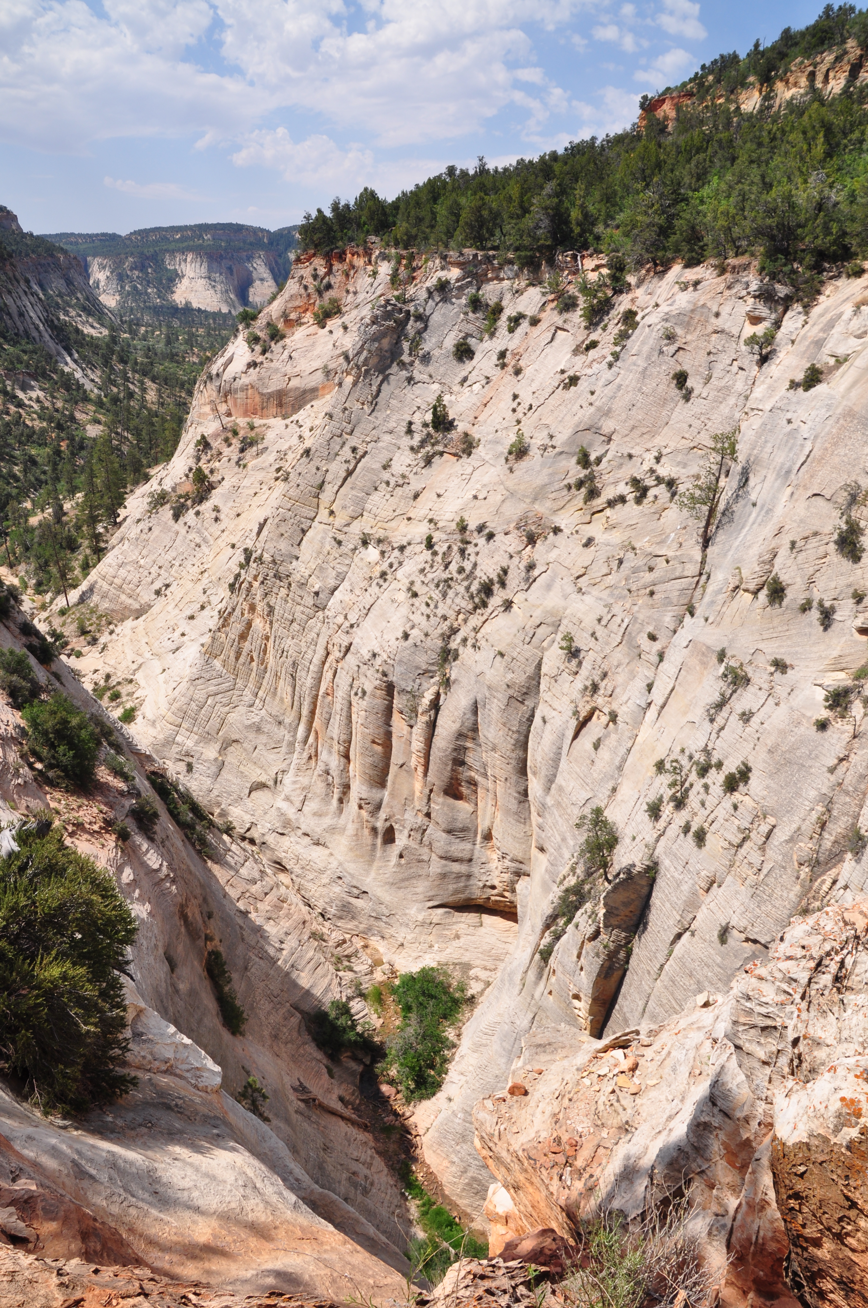 Zion National Park – East Rim Trail Feature